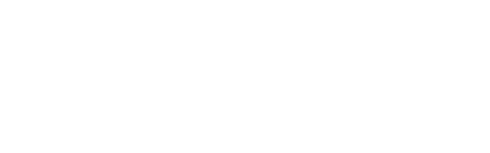 Logo SDLSN - Sindikat državnih i lokalnih službenika i namještenika